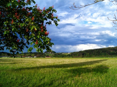 Nach dem Regen