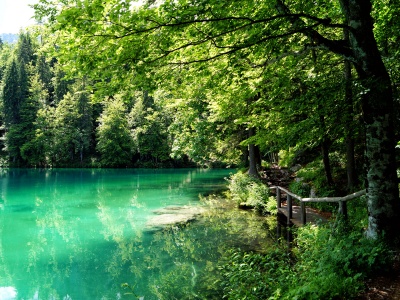 Laghi di fusine